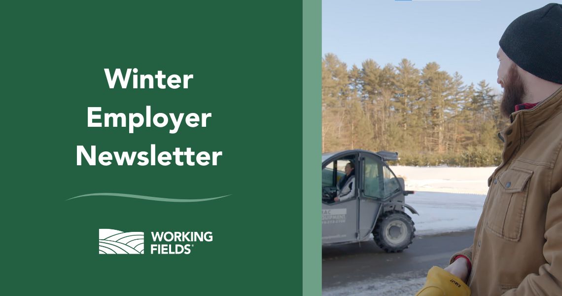 Winter newsletter for employers